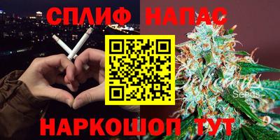 сатива Ирбит