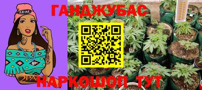 сатива Ирбит