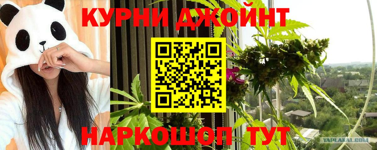 Кунгур  Бошки Шишки VHQ  Каннабис планчик  Вход с VPN  Канабис Bruce Banner 
